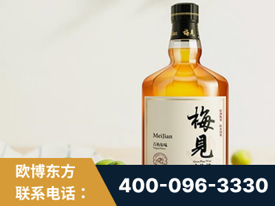 咸宁-梅见青梅酒
